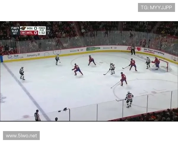 nhl体育联赛排第几(nhl球队价值排名)sports